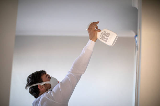 Best Local Mold Removal Service  in Torrance, CA