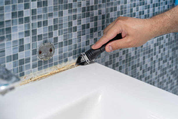 Best Mold Remediation  in Torrance, CA