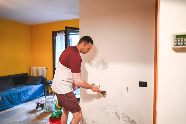 Best Mold Testing  in Torrance, CA